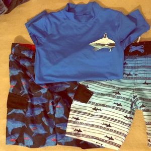Shark 🦈 Swim Trunks & Rashguard